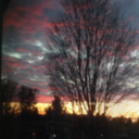 daisyrainwater avatar