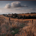 daizydaydreaming avatar