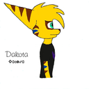 dakotasblog avatar