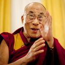 dalai-lama-lessons avatar