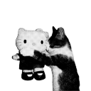 dallaswinstons avatar