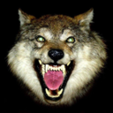 damnbluewires avatar