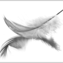 damnithoughtihadaphoenixdow-blog avatar