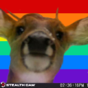 dampfnudeldove avatar