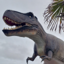 dancing--dragons avatar