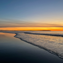 dancing-over-ur-bullshit avatar