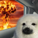 dancingfairylights avatar