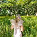 dandelion-haze avatar