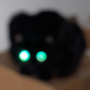 dandeliondelivery avatar