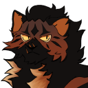 dandeliondoeswarriors avatar