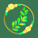 dandelionmoss avatar