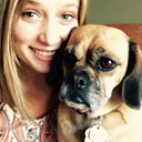 dandelionswishx avatar