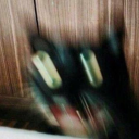 dandylionpuff avatar