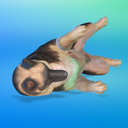 dandylittlesimmer avatar