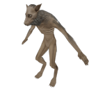 daneslikebread avatar