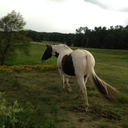 dangerflooffloof avatar