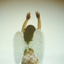 dangerous-stupidity avatar