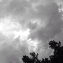 dangerousgirls avatar