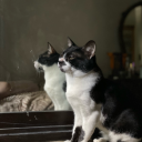 danythenightmare avatar