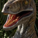 dapper-raptor-blog-blog avatar