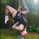 darcula-dreams avatar