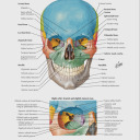 dareindespair avatar