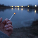 daringdiligent avatar