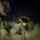 darkaccidents avatar