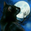 darkcat8 avatar