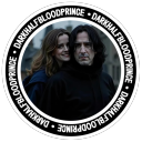 darkhalfbloodprince avatar