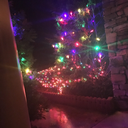 darklordnumber3 avatar