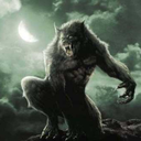 darklycan70-blog avatar