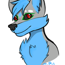 darkwolfsblog-blog avatar