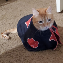 darude-slamstorm avatar