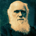 darwinisbae avatar