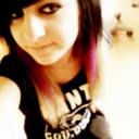 dashkitty-blog avatar