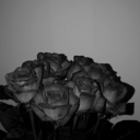 dasmaedchenvollerwut avatar