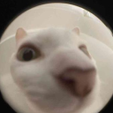 davy-jones-yaoi avatar