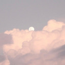 daydreaming-constantly avatar