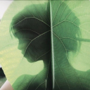 daydreamsofgreenmagic avatar