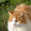 daylightdreamers avatar