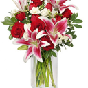 ddlg-cgl-lovers avatar