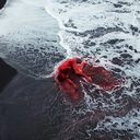 dea-le-lui-codreanu avatar