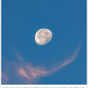 deactivated0123 avatar