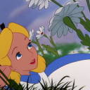 deadpoets-department avatar