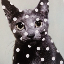 deadvideodiary avatar