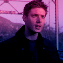 deansbisexualflannel avatar