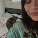 dear-desperados avatar