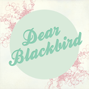 dearblackbirdblog avatar