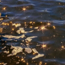 dearestleenie avatar